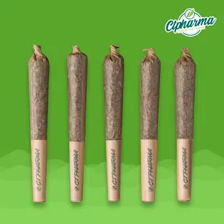 (2.0g) Chem-band Shorties 5 x 0.4g