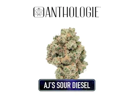 (3.5g) AJs Sour Diesel I 3.5g Flower I Anthologie