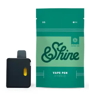 (2.0g) &Shine - Disposable Vape - Blue Raspberry