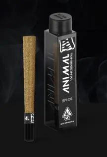 (1.0g) Animal | SFV OG | Infused | 1g