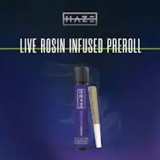 (1.0g) Perm Gas x Temptation F2 | LRo 1g PR