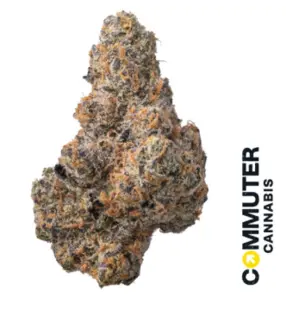 (3.5g) Grape Gasoline | 3.5g