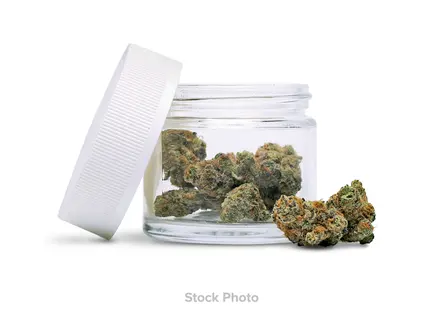 (3.5g) N.U.G. - Prepack - Grape High Chew