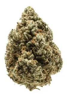 (1.0g) Meat Breath Flower