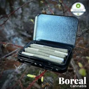 (2.5g) Boreal Cannabis | Pictured Rox | .5g 5pck