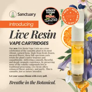 (0.5g) 0.5g Chemtrail Cookies LIVE Resin Vape