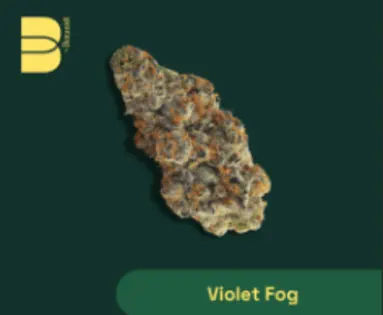 (3.5g) Botanist - Violet Fog 3.5g Flower
