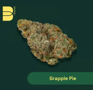 (3.5g) Botanist - Grapple Pie 3.5g Flower