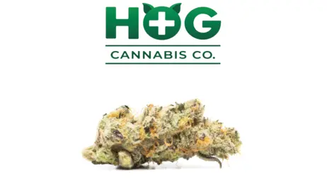 (28.0g) Apricot Jelly Flower - Prepackaged