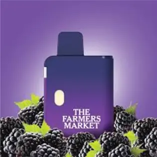 (1.0g) Blackberry Gelato | Disposable Vape | 1g