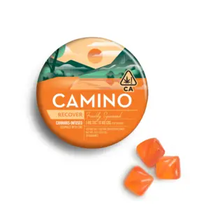 (0.2g) Camino - 200mg Gummies - Freshly Squeezed
