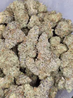 (1.0g) Bonkers (Deep Creek)