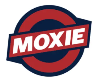 Dart X Battery (White)