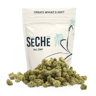 (28.0g) Animal Mintz Cake : All Day