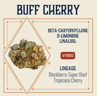 (3.5g) Buff Cherry - Elevate - 3.5g Pre-Packaged