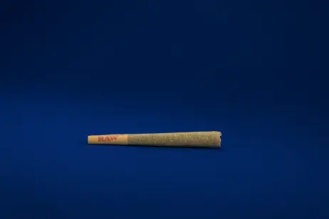 (1.0g) Apple Runtz Preroll | 1g | 30.18% TAC