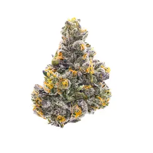 (14.0g) Duffy's - Jelly Zappers - Hybrid - - Indoor