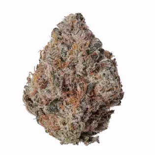 (4.0g) MNG TOP SHELF - FLOWER - 4G - HYBRID - KUSH MINTS