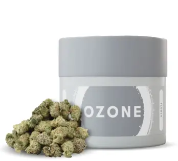 (14.0g) Animal Cake | Popcorn | Sativa