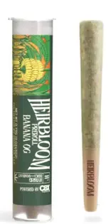 (0.75g) Banana OG [H] - Preroll