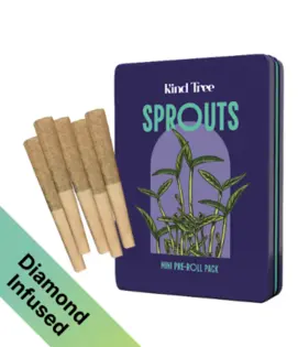 (g) Cherry Slushee 5pk/1.75g | Infused Pre-Rolls