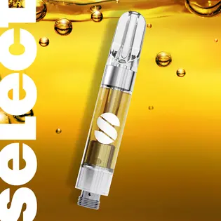 (each) Essentials Raspberry Crave Cartridge 1g