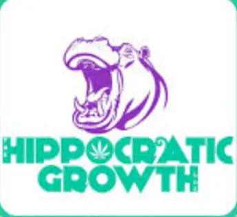 (0.1g) HippoCratic Growth | 100mg | Mango Sunrise