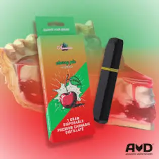 (1.0g) Amnesia - 1g Disposable - Cherry Pie