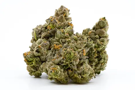 (14.0g) Dragonfly - - Apples and Bananas - 27.75%