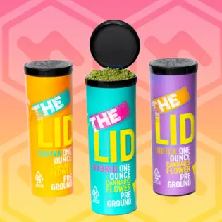 (28.0g) 908 Cookies | Shake | 28g