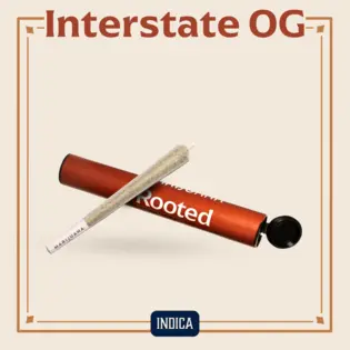 (1.0g) Interstate OG Pre-Roll | 1g