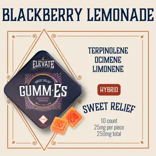 (0.25g) Blackberry Lemonade Hybrid Gumm-Es | 250mg 10-pack