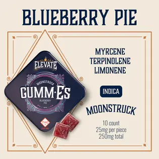 (0.25g) Blueberry Pie Indica Gumm-Es | 250mg 10-pack