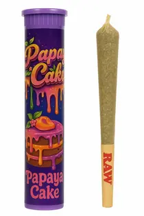 (1.0g) Green Co. Ventures | Papaya Cake Pre-Roll