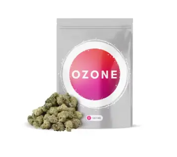 (28.0g) OZONE Citrus MAC 1oz Popcorn