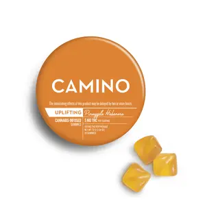 (1.0g) Camino 'Uplifting' Pineapple Habanero Gummies [20pk]