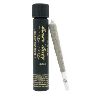 (1.0g) Brownie Scout | Single Pre-Roll 1g