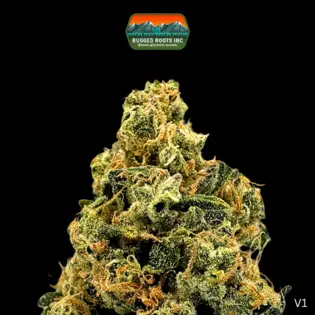 (3.5g) Rugged Roots | Gas Guzzler 3.5g