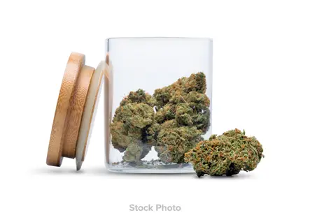 (7.0g) Royal Tree Gardens | Flower | Georgia Pie