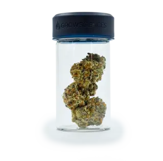 (3.7g) Banana Cream Cake x Jealousy Whole Flower 3.7g