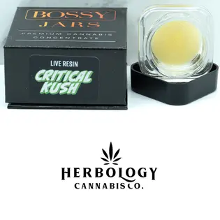 (1.0g) Bossy | Live Resin | Critical Kush | 1g