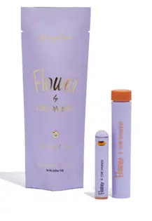 (0.5g) Edie Parker - Peppermint Hot Chocolate .5g  Disposable