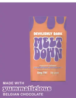 (1.0g) Dark Chocolate Bar - 20 Pieces