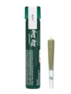 (1.0g) Couch Crasher - Preroll