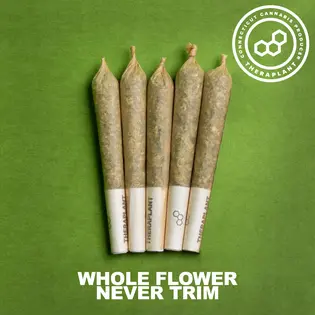 (2.0g) LBG #33 Pre-Roll Pack 2g (5-Pack | 0.4g Each) (00907)