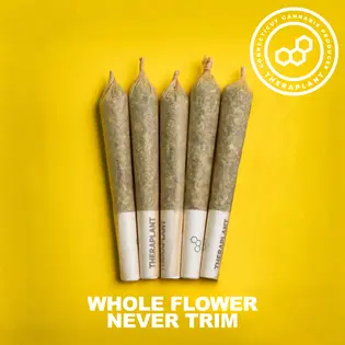 (2.0g) Sunset Sherb Pre-Roll Pack 2g (5-Pack | 0.4g Each) (00729)