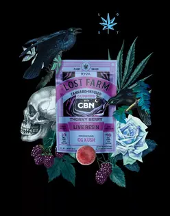 (1.0g) Lost Farm Thorny Berry x OG Kush Live Resin Gummies 10mg x 10-Pack