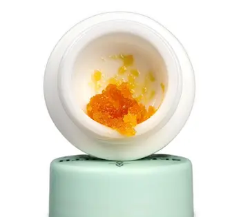 (1g) Gasonade (S) - Live Resin - Seed & Smith