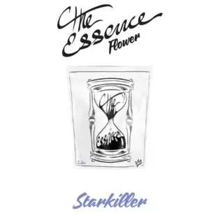 (3.5g) (the) Essence | Starkiller (Indica)