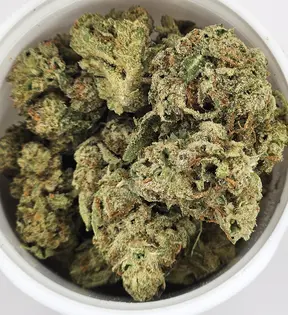 (14.0g) Blueberry Muffins Pre Pack